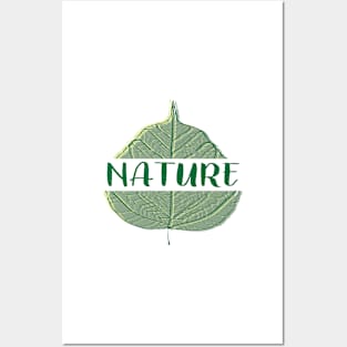 Nature Posters and Art